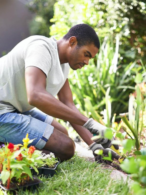 Gardening